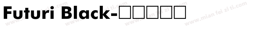 Futuri Black字体转换